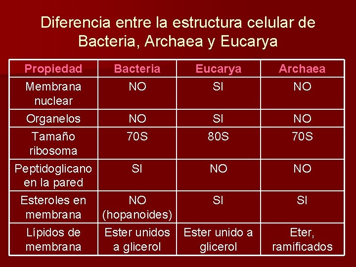 Diferencia entre la estructura celular de Bacteria, Archaea y Eucarya Propiedad Membrana nuclear Bacteria