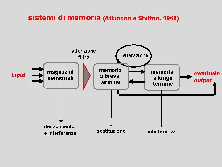 sistemi di memoria (Atkinson e Shiffrin, 1968) attenzione filtro input reiterazione magazzini sensoriali memoria