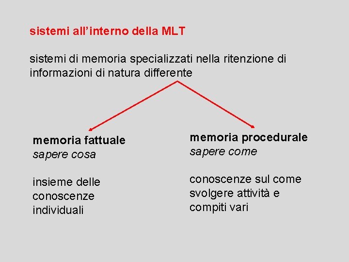 sistemi all’interno della MLT sistemi di memoria specializzati nella ritenzione di informazioni di natura