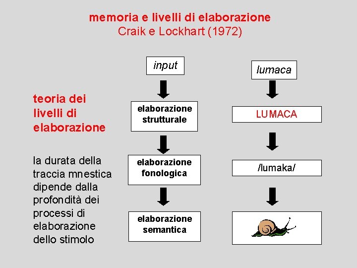 memoria e livelli di elaborazione Craik e Lockhart (1972) teoria dei livelli di elaborazione