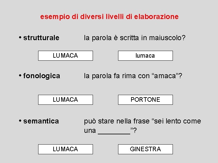 esempio di diversi livelli di elaborazione • strutturale LUMACA • fonologica LUMACA • semantica