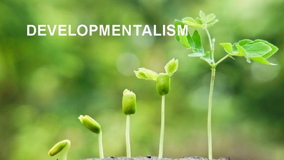 DEVELOPMENTALISM 