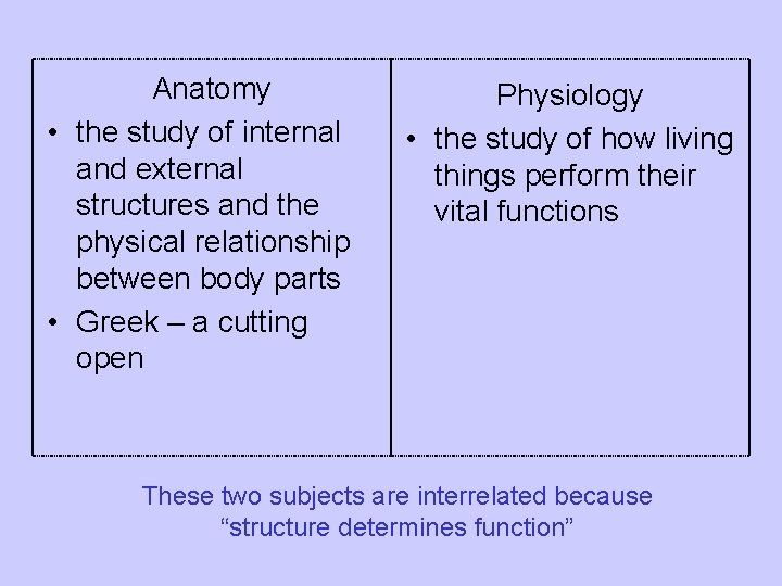 Anatomy • the study of internal and external structures and the physical relationship between