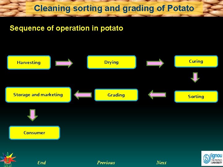 Cleaning sorting and grading of Potato Sequence of operation in potato Harvesting Storage and