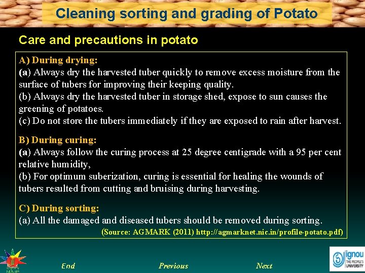 Cleaning sorting and grading of Potato Care and precautions in potato A) During drying: