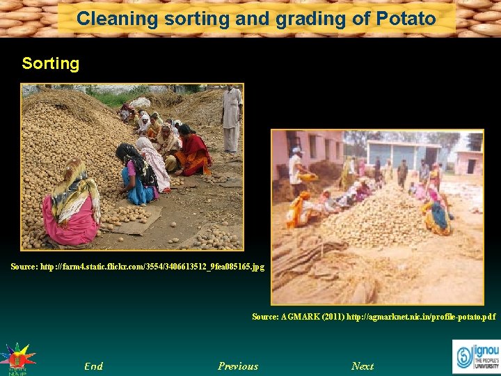 Cleaning sorting and grading of Potato Sorting Source: http: //farm 4. static. flickr. com/3554/3406613512_9
