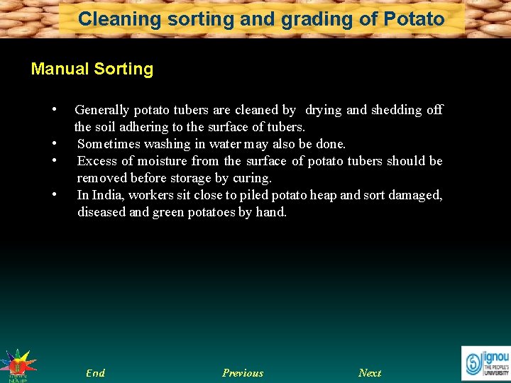 Cleaning sorting and grading of Potato Manual Sorting • • Generally potato tubers are