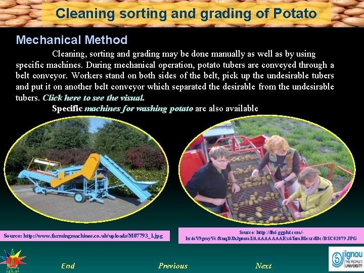 Cleaning sorting and grading of Potato Mechanical Method Cleaning, sorting and grading may be