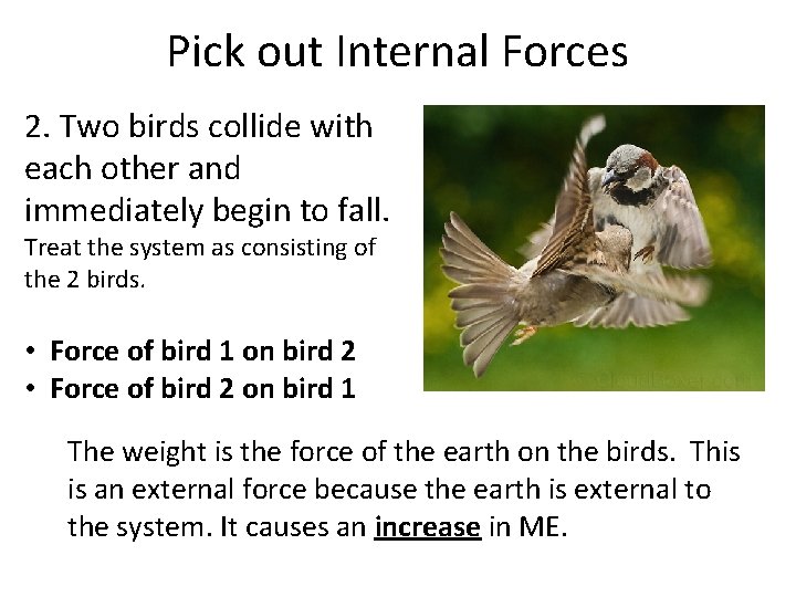 Pick out Internal Forces 2. Two birds collide with each other and immediately begin