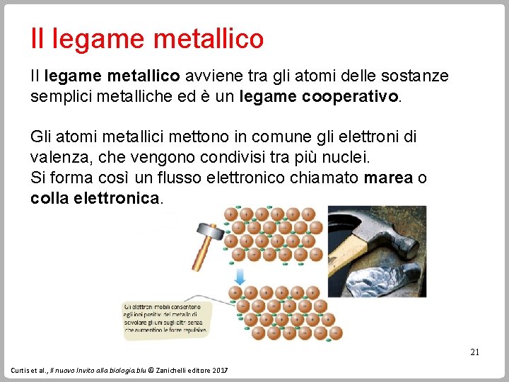 Il legame metallico avviene tra gli atomi delle sostanze semplici metalliche ed è un