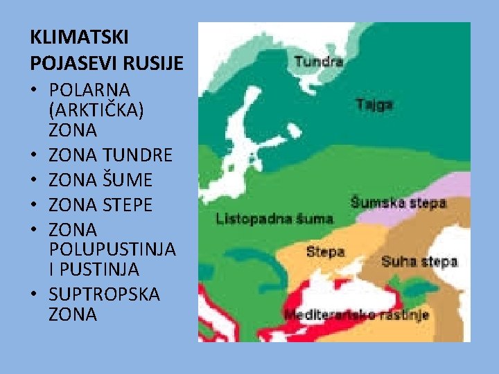 KLIMATSKI POJASEVI RUSIJE • POLARNA • • • (ARKTIČKA) ZONA TUNDRE ZONA ŠUME ZONA