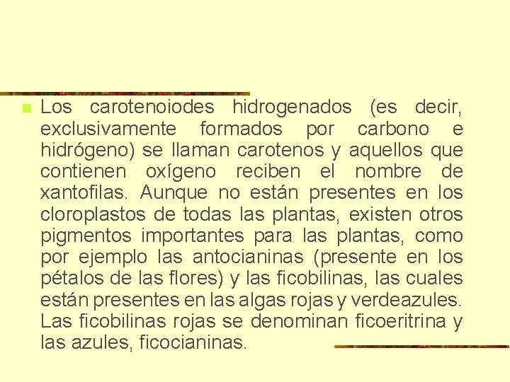 n Los carotenoiodes hidrogenados (es decir, exclusivamente formados por carbono e hidrógeno) se llaman