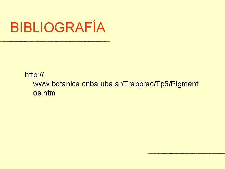 BIBLIOGRAFÍA http: // www. botanica. cnba. uba. ar/Trabprac/Tp 6/Pigment os. htm 