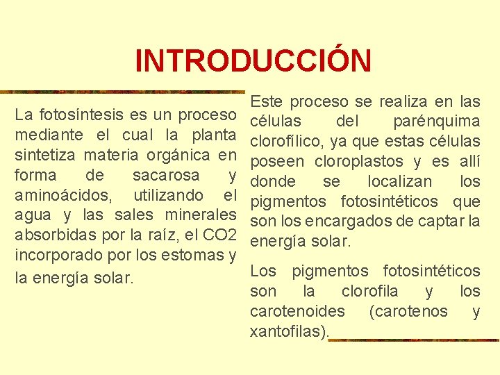 INTRODUCCIÓN Este proceso se realiza en las células del parénquima clorofílico, ya que estas