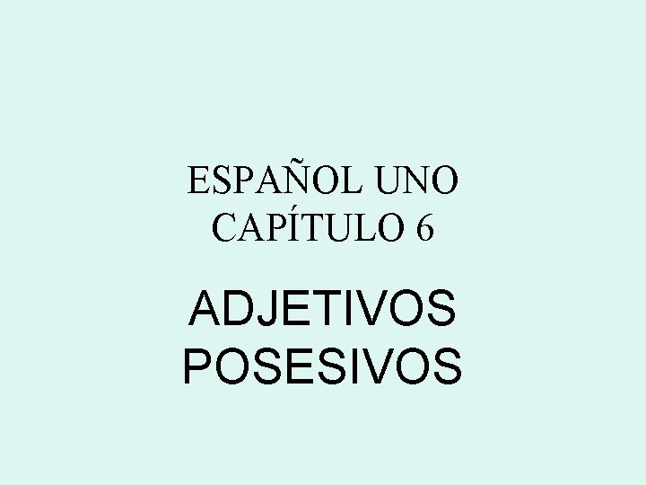 ESPAÑOL UNO CAPÍTULO 6 ADJETIVOS POSESIVOS 