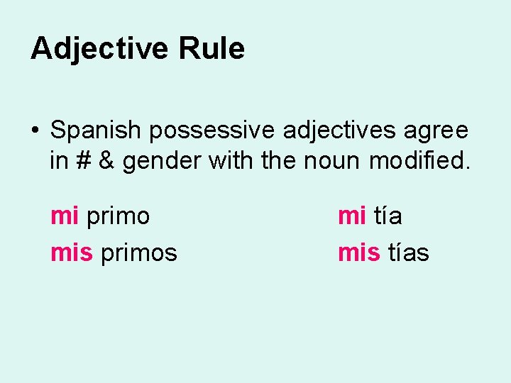 Adjective Rule • Spanish possessive adjectives agree in # & gender with the noun