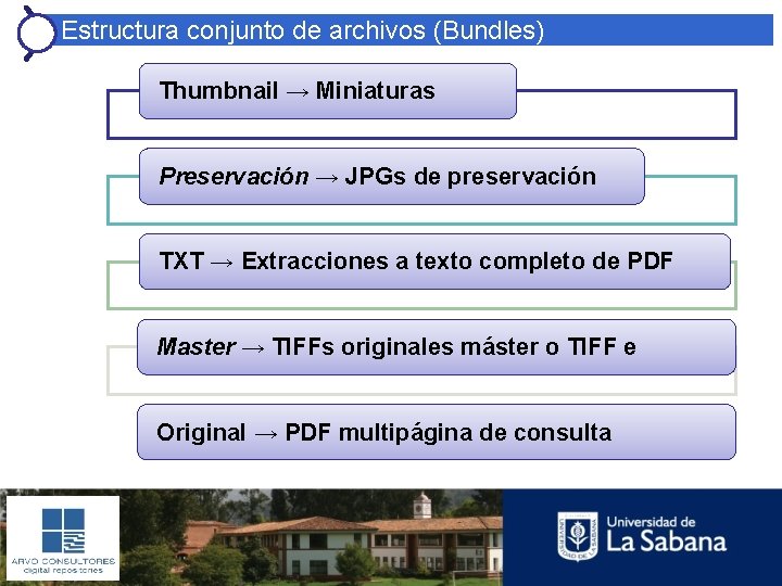 Estructura conjunto de archivos (Bundles) Thumbnail → Miniaturas Preservación → JPGs de preservación TXT