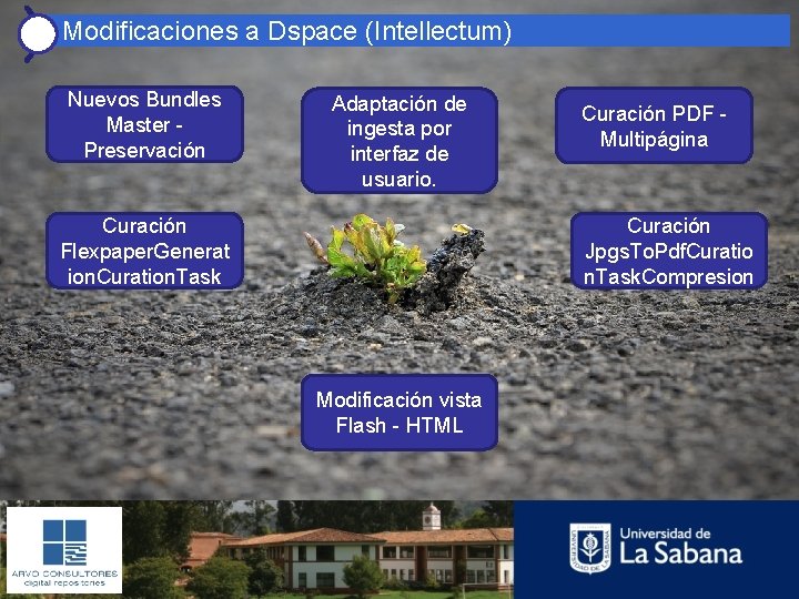 Modificaciones a Dspace (Intellectum) Nuevos Bundles Master Preservación Adaptación de ingesta por interfaz de