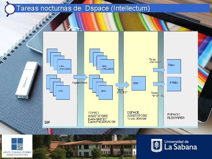 Tareas nocturnas de Dspace (Intellectum) 