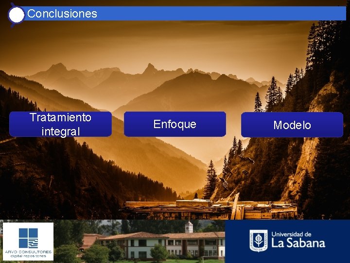 Conclusiones Tratamiento integral Enfoque Modelo 