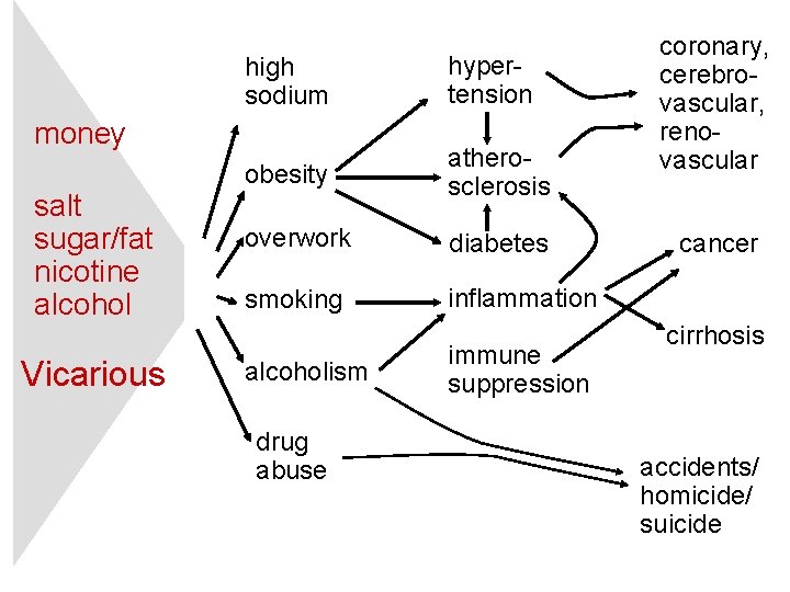 high sodium hypertension obesity atherosclerosis overwork diabetes smoking inflammation money salt sugar/fat nicotine alcohol