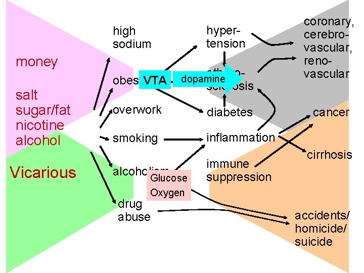 hypertension high sodium money salt sugar/fat nicotine alcohol Vicarious VTA obesity atherosclerosis dopamine overwork