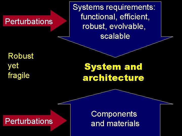 Perturbations Robust yet fragile Perturbations Systems requirements: functional, efficient, robust, evolvable, scalable System and