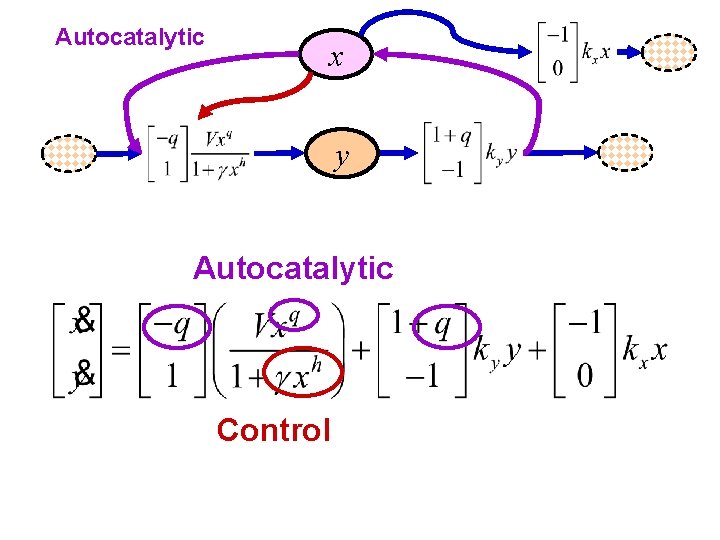 Autocatalytic x y Autocatalytic Control 