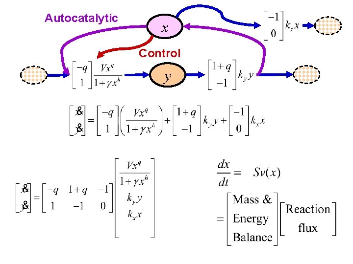 Autocatalytic x Control y 