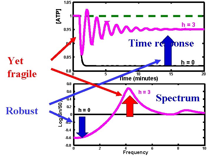 [ATP] 1. 05 1 h=3 0. 95 Time response 0. 9 Yet fragile 0.