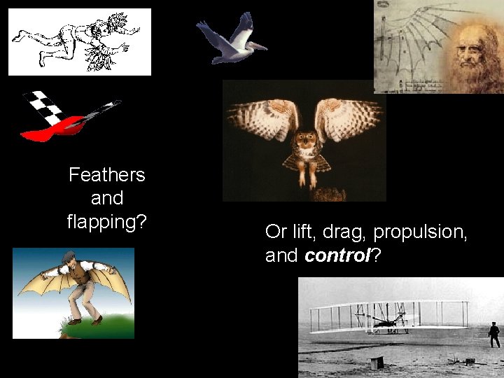 Feathers and flapping? Or lift, drag, propulsion, and control? 