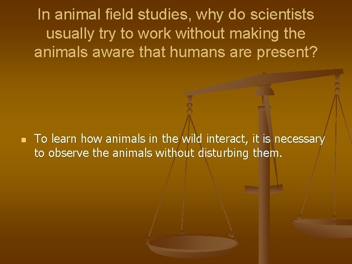 In animal field studies, why do scientists usually try to work without making the