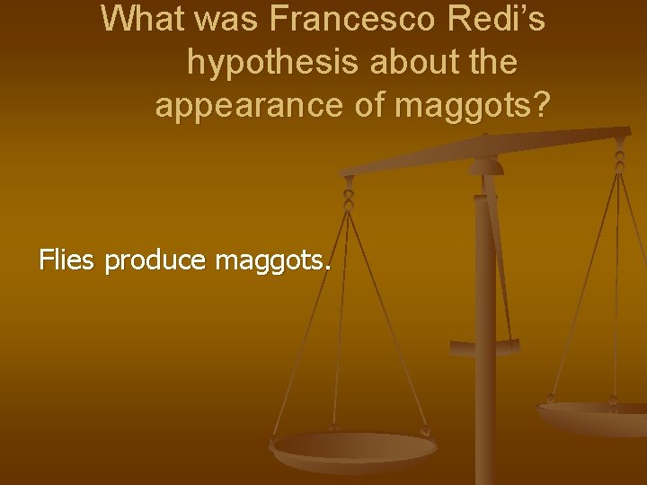 What was Francesco Redi’s hypothesis about the appearance of maggots? Flies produce maggots. 