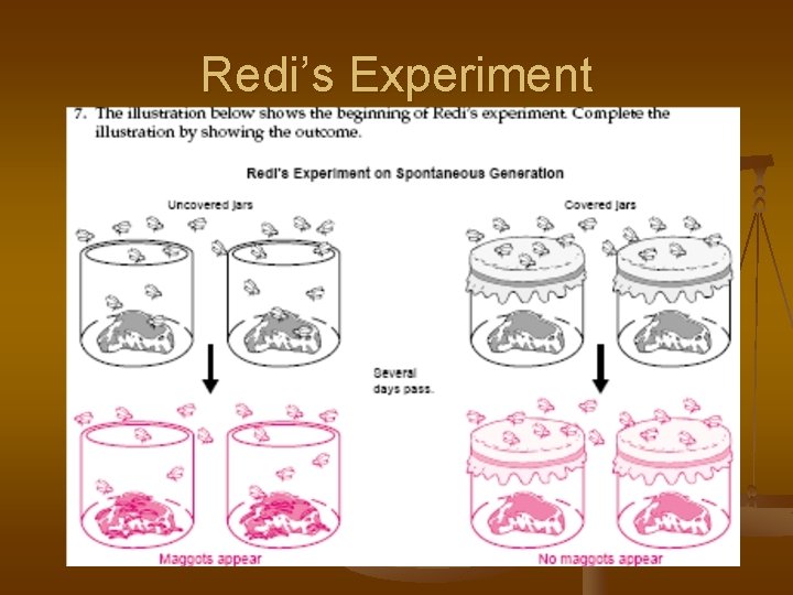 Redi’s Experiment 