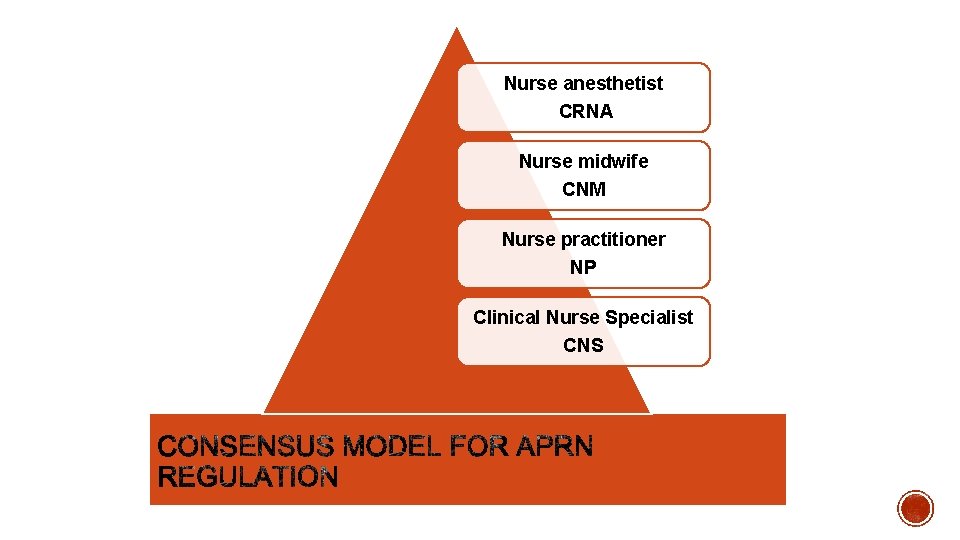 Nurse anesthetist CRNA Nurse midwife CNM Nurse practitioner NP Clinical Nurse Specialist CNS 