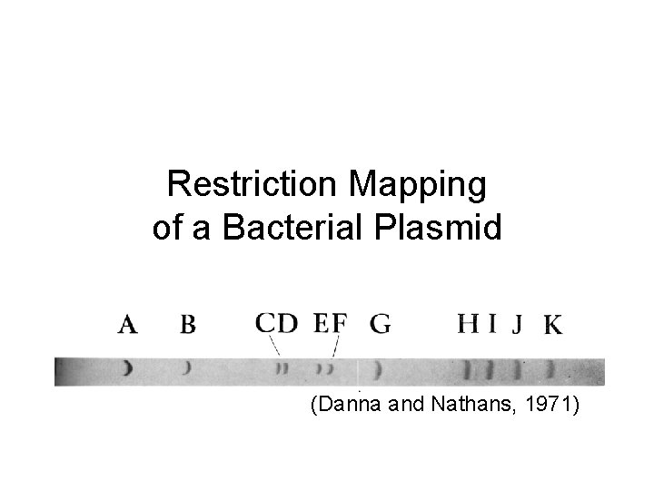 Restriction Mapping of a Bacterial Plasmid (Danna and Nathans, 1971) 