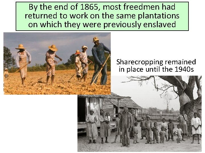 By the end of 1865, most freedmen had returned to work on the same
