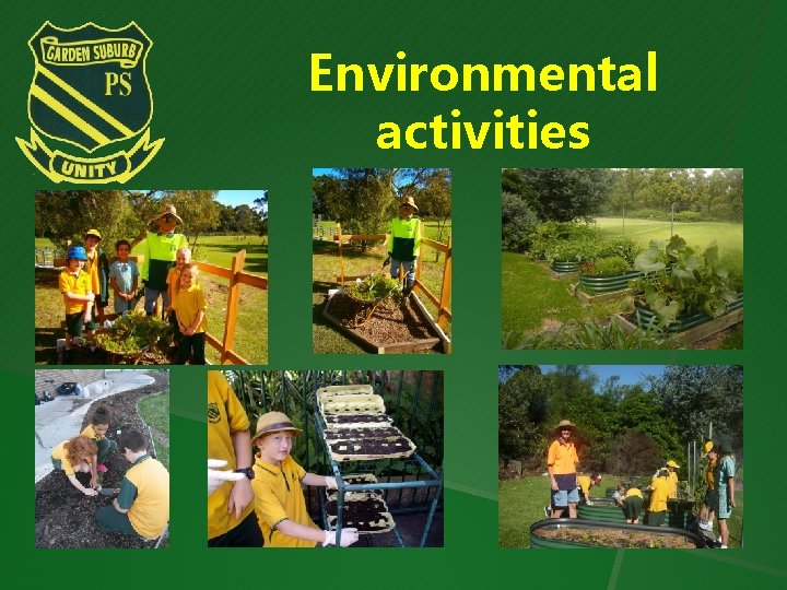 Environmental activities 