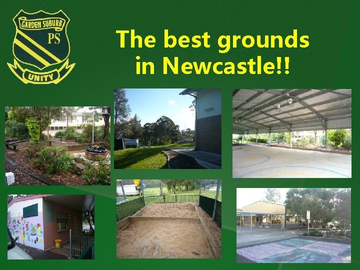The best grounds in Newcastle!! 