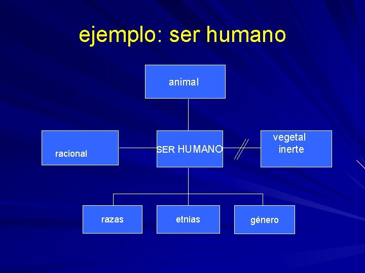 ejemplo: ser humano animal SER HUMANO racional razas etnias vegetal inerte género 