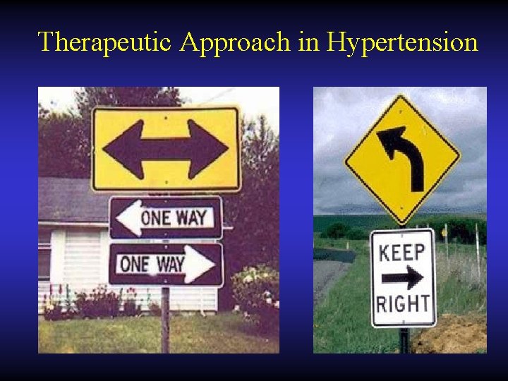 Therapeutic Approach in Hypertension 