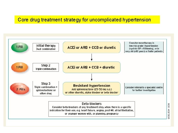 Core drug treatment strategy for uncomplicated hypertension 