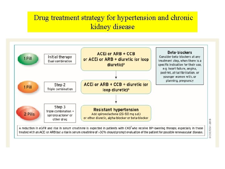 Drug treatment strategy for hypertension and chronic kidney disease 