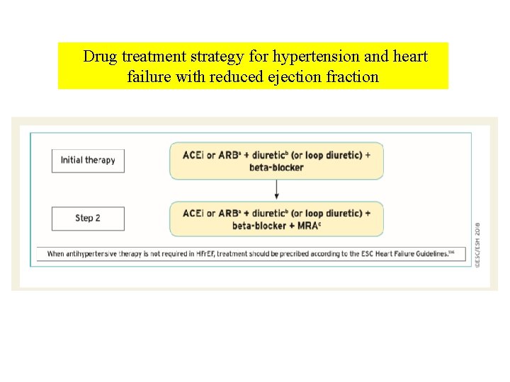 Drug treatment strategy for hypertension and heart failure with reduced ejection fraction 