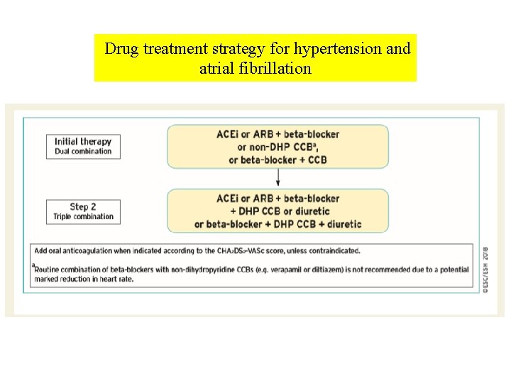 Drug treatment strategy for hypertension and atrial fibrillation 