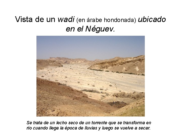 Vista de un wadi (en árabe hondonada) ubicado en el Néguev. Se trata de