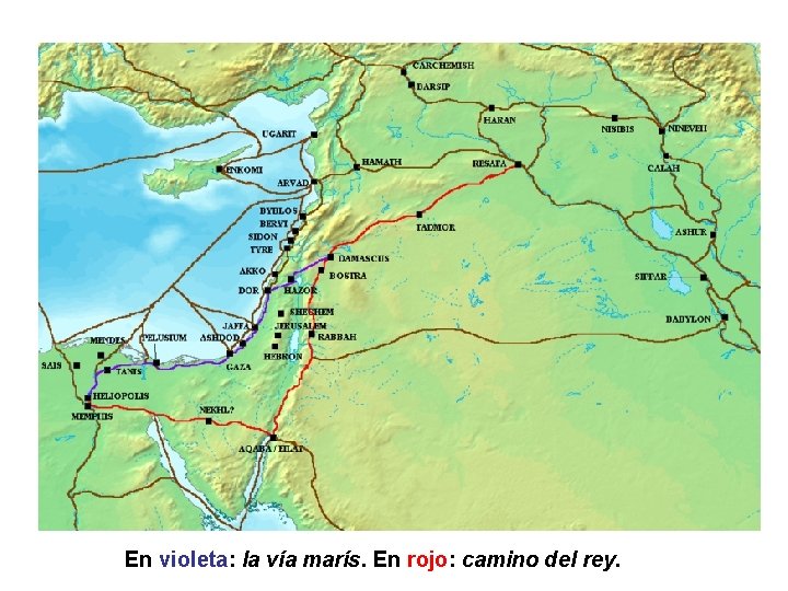 En violeta: la vía marís. En rojo: camino del rey. 