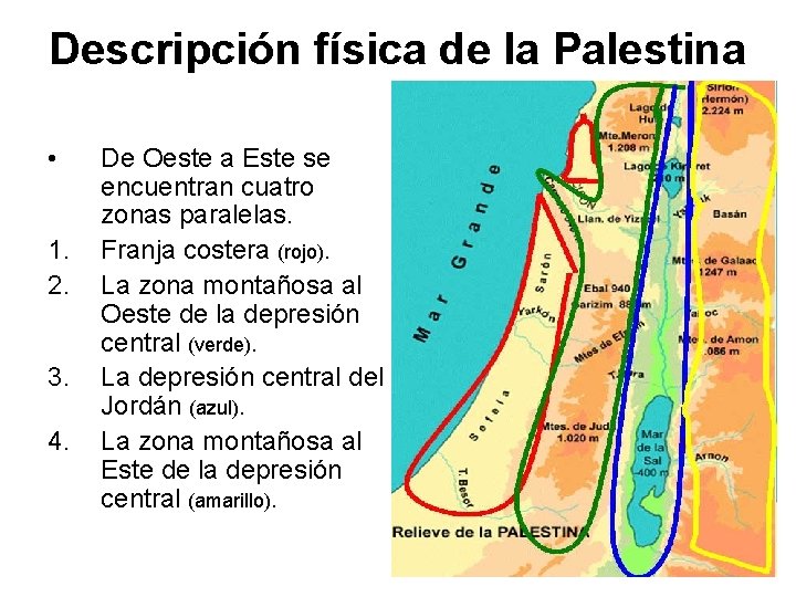 Descripción física de la Palestina • 1. 2. 3. 4. De Oeste a Este