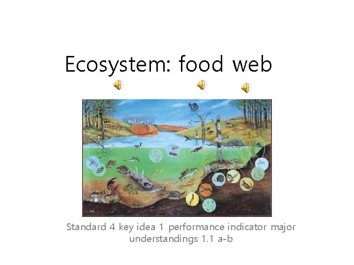 Ecosystem: food web Standard 4 key idea 1 performance indicator major understandings 1. 1