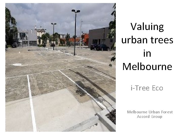 Valuing urban trees in Melbourne i-Tree Eco Melbourne Urban Forest Accord Group 